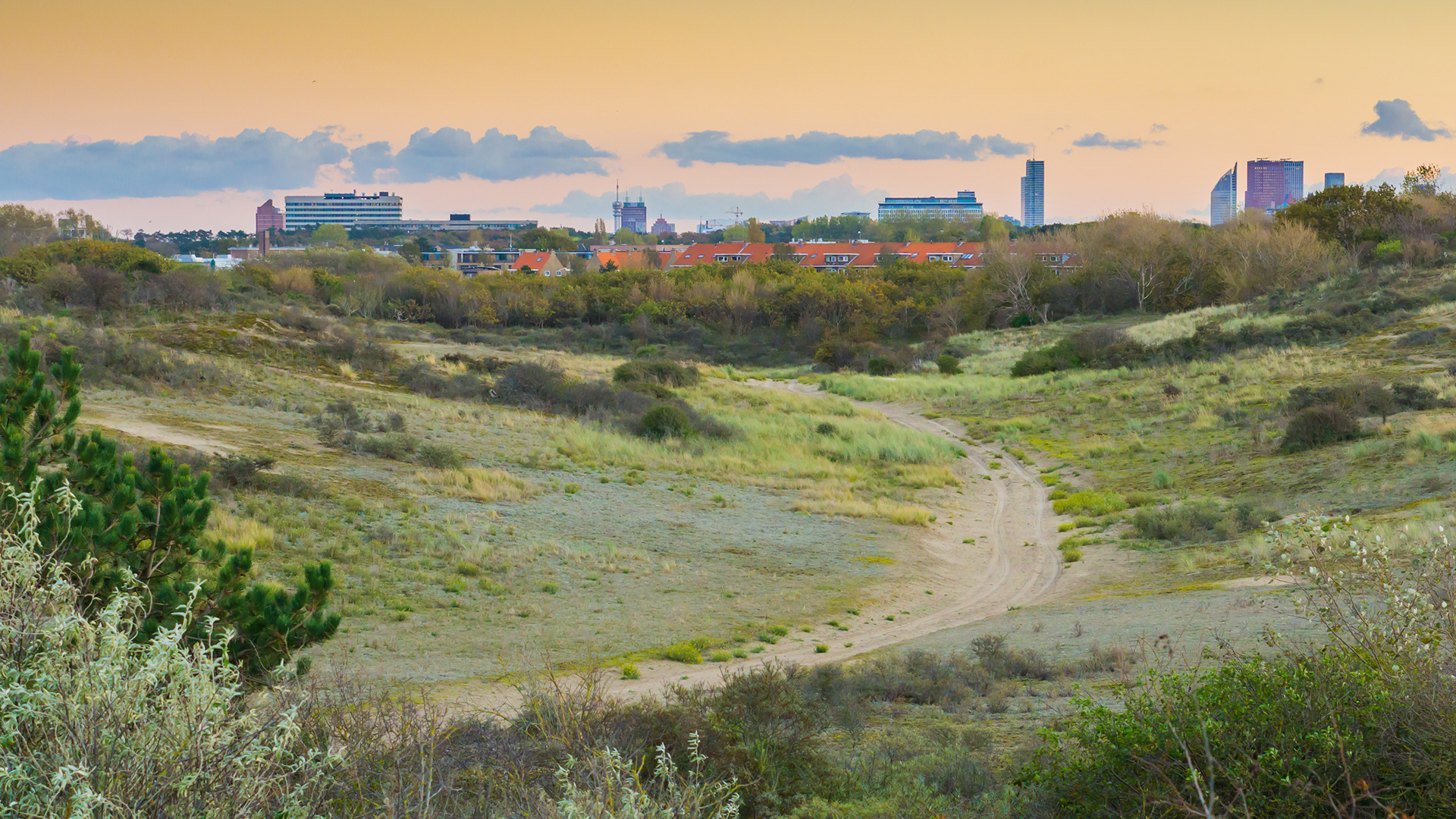 belderbos makelaars den haag kijkduin